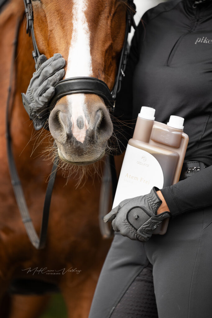 B2B, Shootings für Unternehmen, Marken und Dienstleister rund um Pferd und Hund