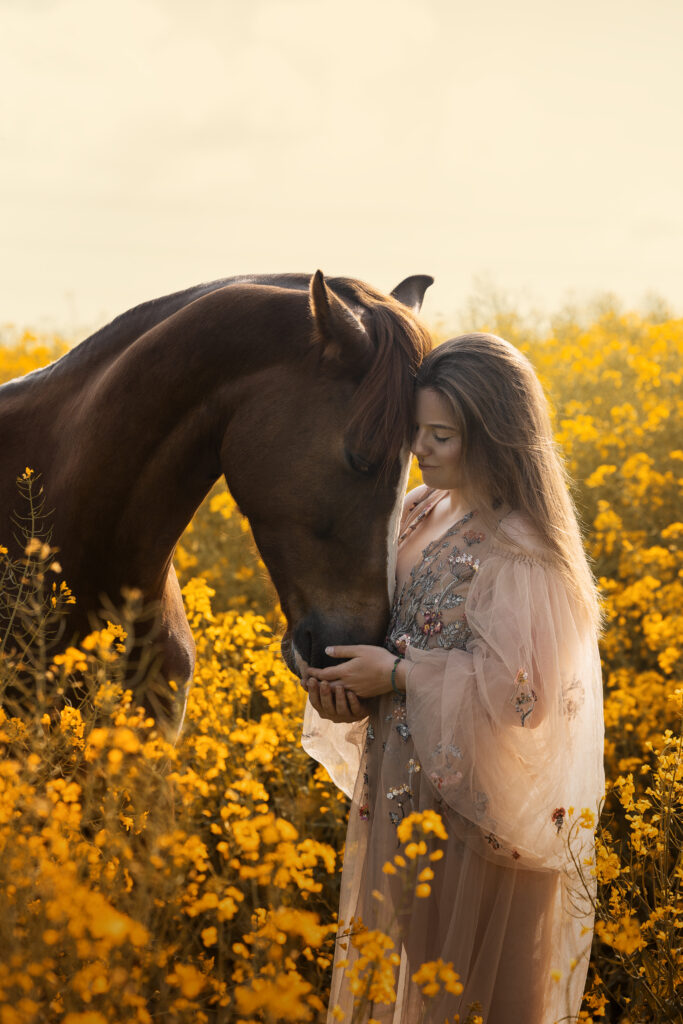 Fotoshooting mit Pferd im Rapsfeld in NRW