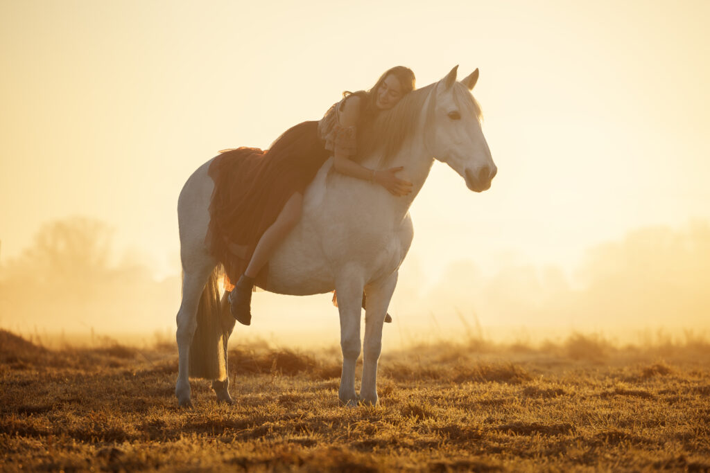 Frau reitet auf Pferd im Sonnenaufgang