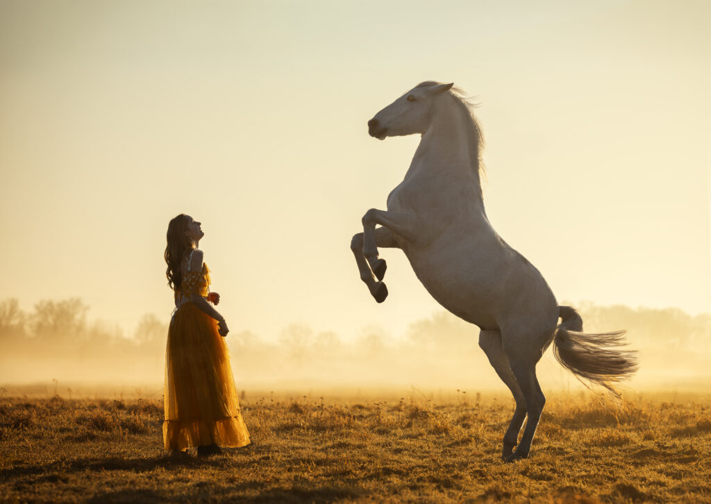 Steigendes Pferd im Sonnenaufgang
