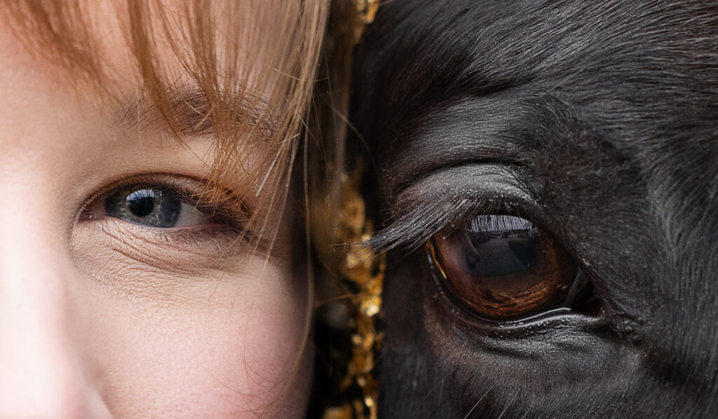 Eye-to-Eye Bild mit Hund und Pferd