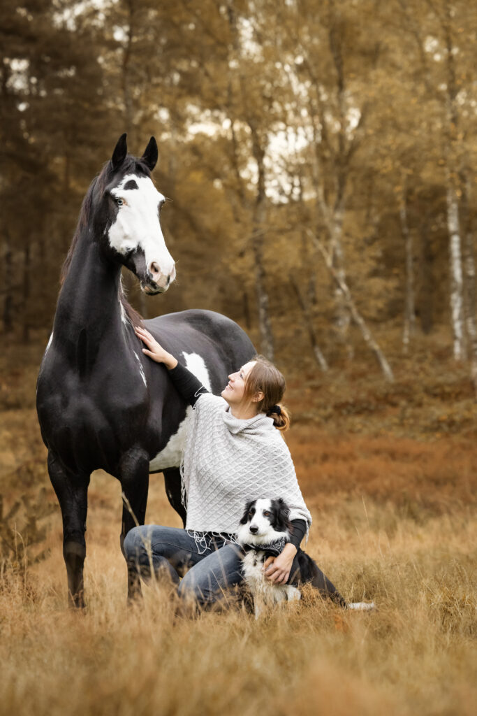 Westernpferd mit Hund im Wald