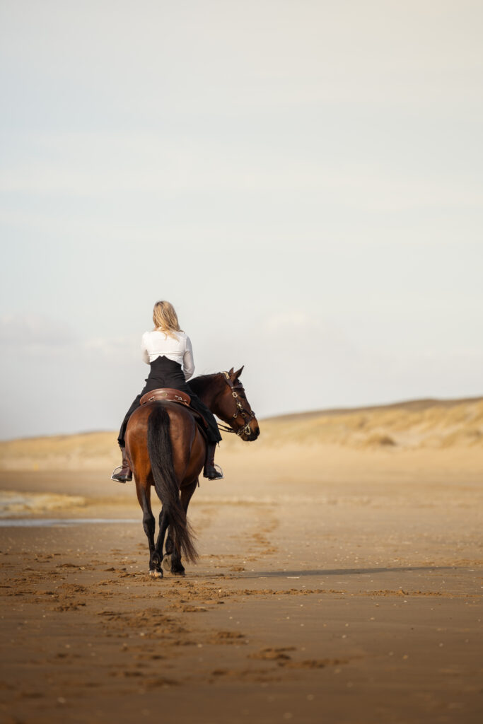 Frau reitet auf ihrem Spanier am Meer entlang