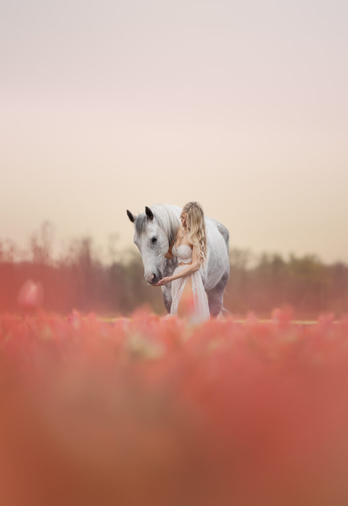 Fotoshooting mit Pferd in Holland in den Tulpen