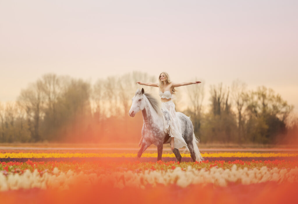 Mädchen galoppiert mit Pferd im Sonnenaufgang durch Tulpenfeld in Holland