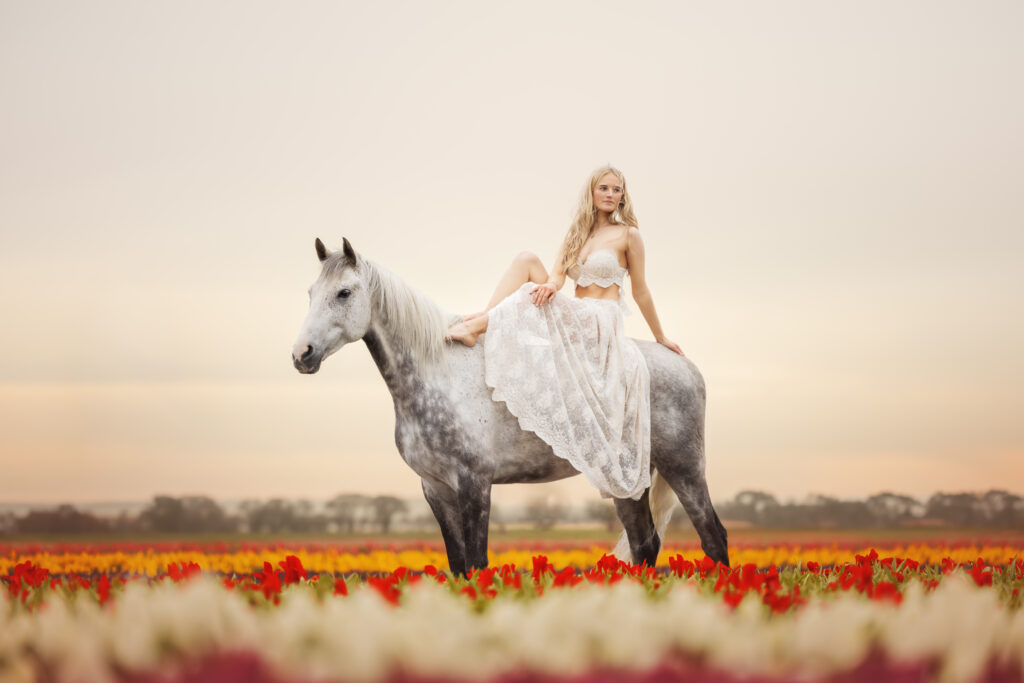 Mädchen im weißen Kleid sitzt auf weißem Pferd im Sonnenaufgang im Tulpenfeld