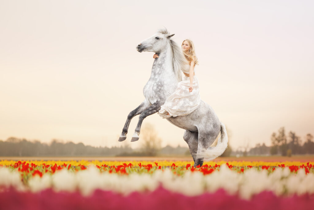 Steigendes Pferd im Tulpenfeld