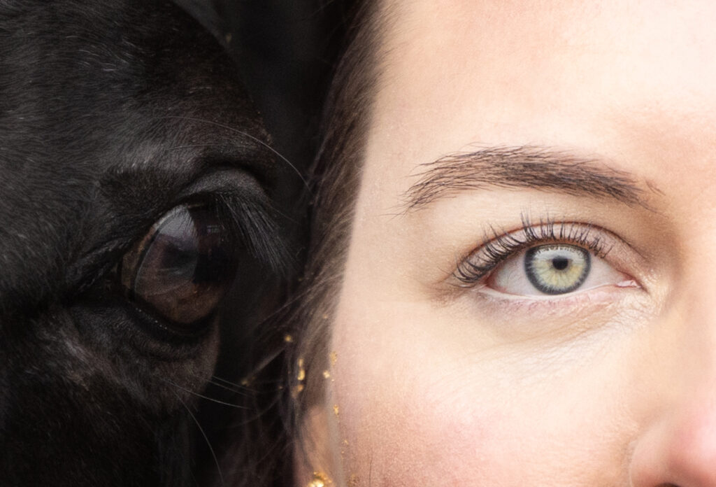 Eye-to-Eye Foto mit Pferd