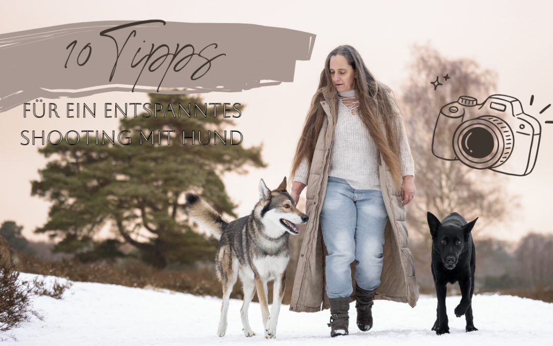 10 Tipps für ein entspanntes Fotoshooting mit Hund!