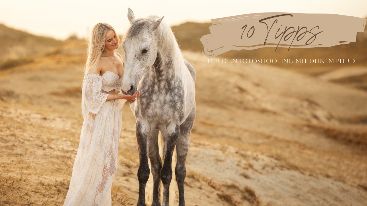 10 Tipps für ein entspanntes Fotoshooting mit Pferd!