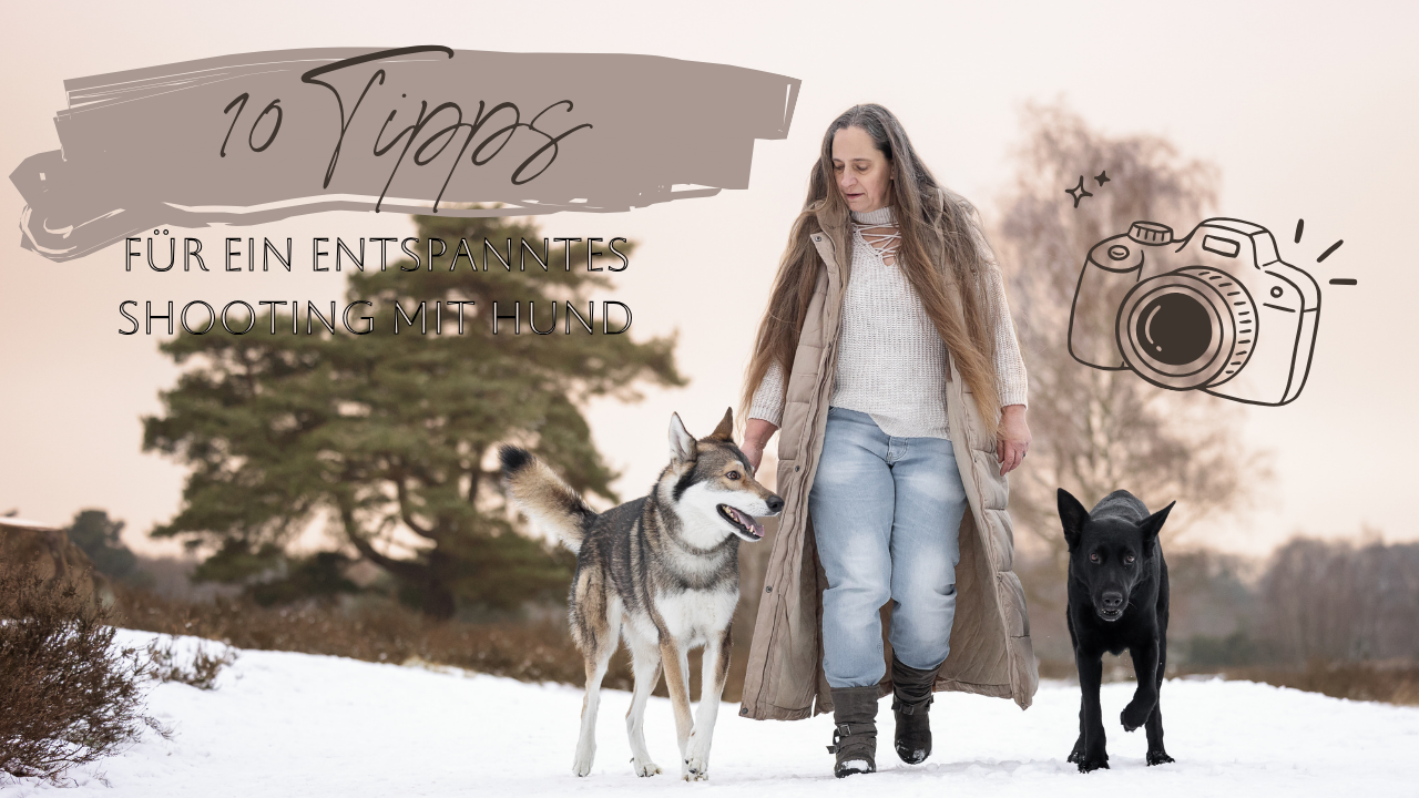 10 Tipps für ein entspanntes Fotoshooting mit Hund!